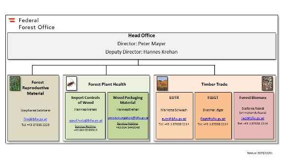 Organization Chart of the Federal Forest Office