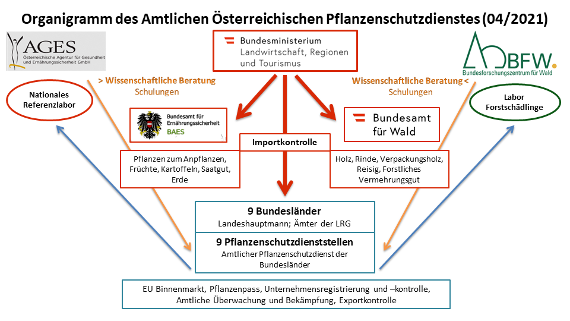 Organigramm des Österreichischen Amtlichen Pflanzenschutzdienstes