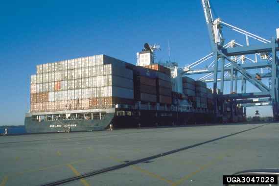 Containerschiff im Hafen liegend