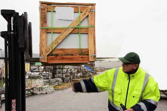 Vor-Ort-Kontrolle von Verpackungsholz