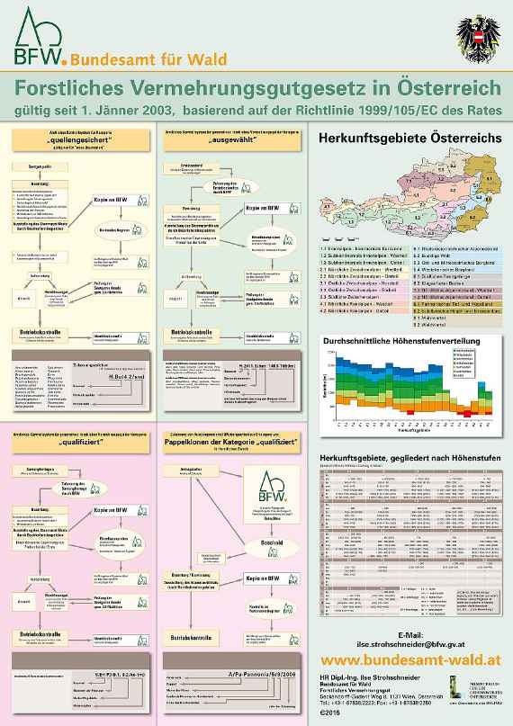 Poster, in dem die Verfahrenszüge im Bereich Forstliches Vermehrungsgut dargestellt sindanschaulichung 