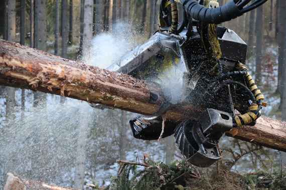 Harvester bei der Entrindung eines Stammes