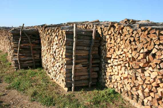 Seitenansicht mehrerer Brennholzstapel
